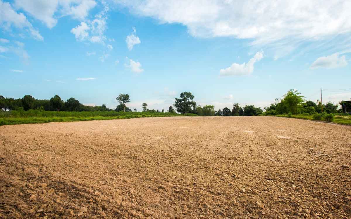 Terreno